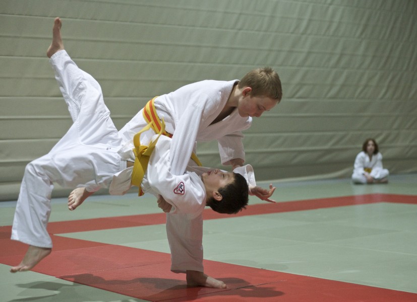 Posture 96 7 Sample Workout Plans Discipline Judo Exercises To Judo Uchikomi Expander Lite