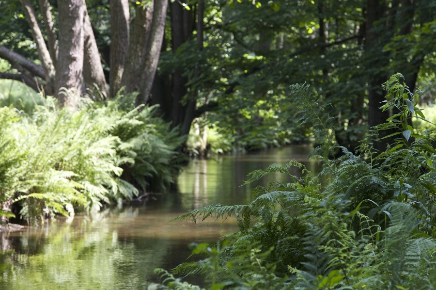 Wanderung im Kirnitzschtal